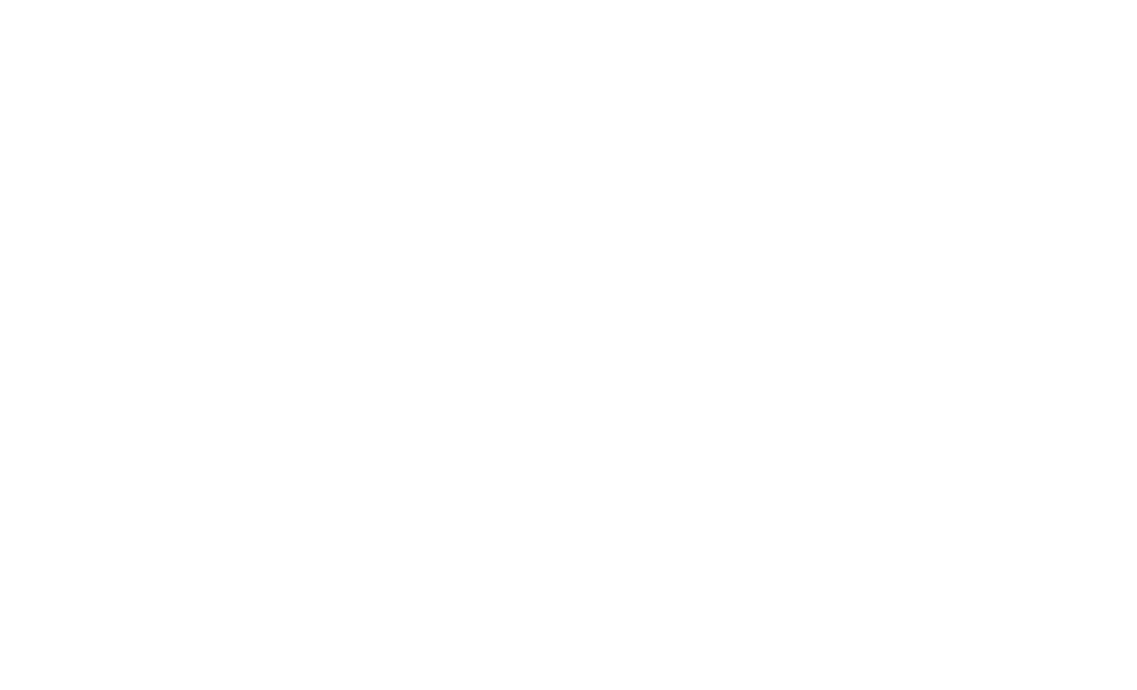 Project Process